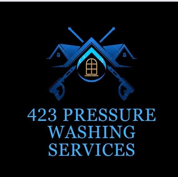 423 Pressure Washing Services