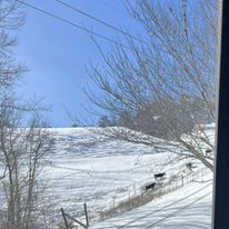 Affordable Trash Service