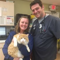 Airport Pet Emergency Clinic