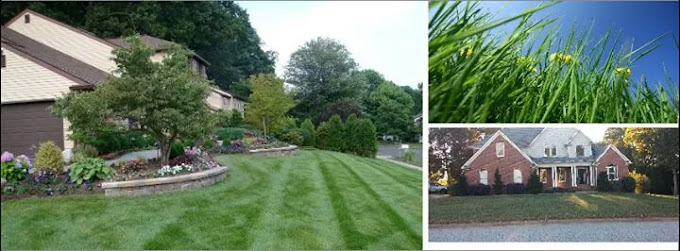 All Seasons Property Services