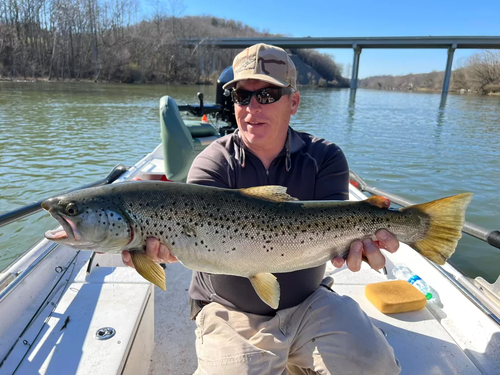 East Tennessee Fly Fishing