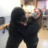 Elizabethton Veterinary Clinic