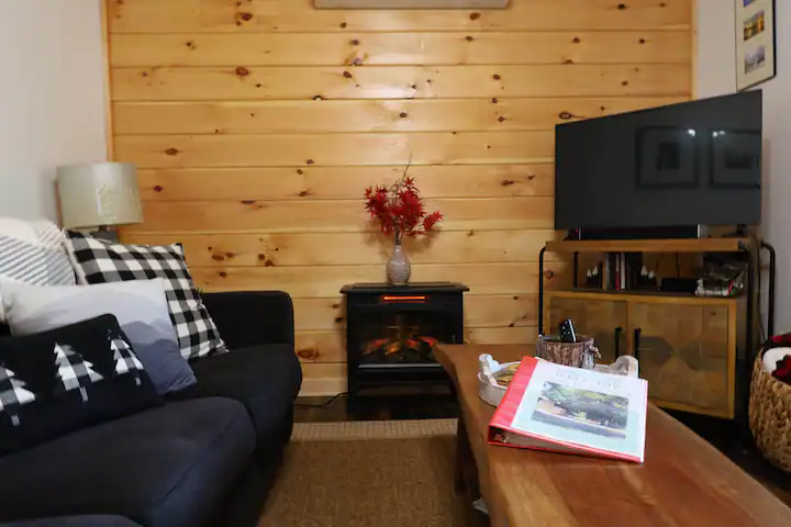 Entire cabin in Butler, Tennessee