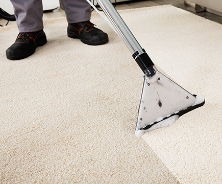 Miracle Services Green Carpet Cleaning and Repair