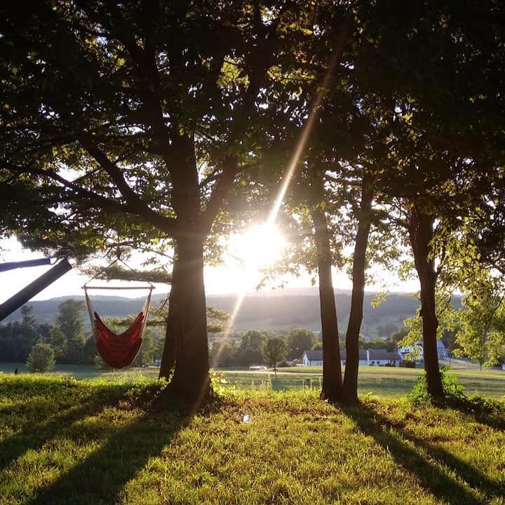 Professional Home Services