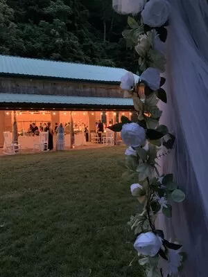 The Barn At Bee Cliff